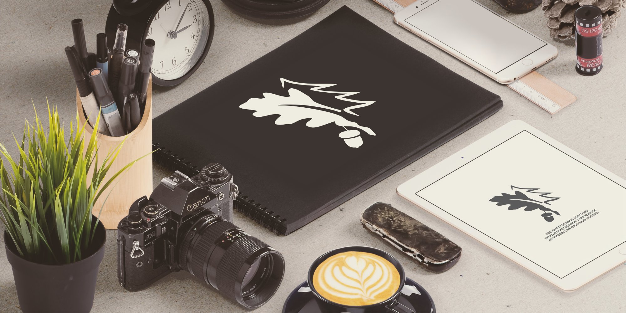 Полиграфический дизайн