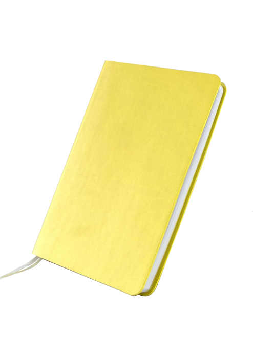 Ежедневник с логотипом